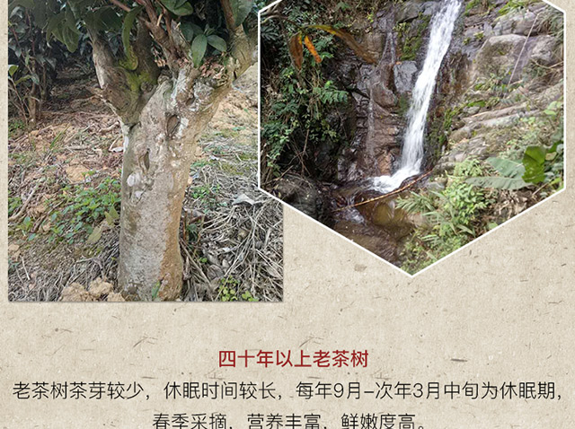 未标题-1_13.jpg
