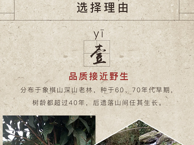 未标题-1_12.jpg