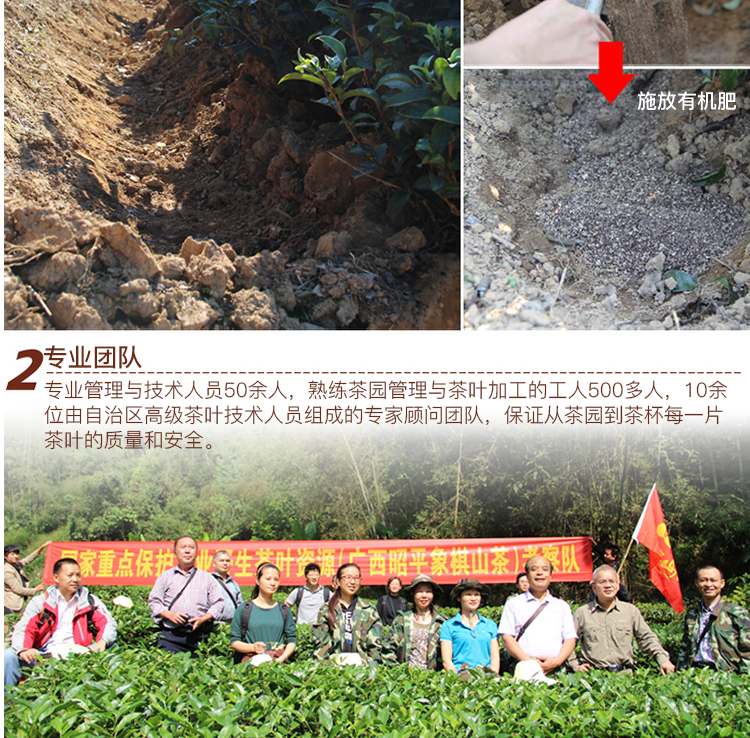 0811无线昭平红398_11.jpg