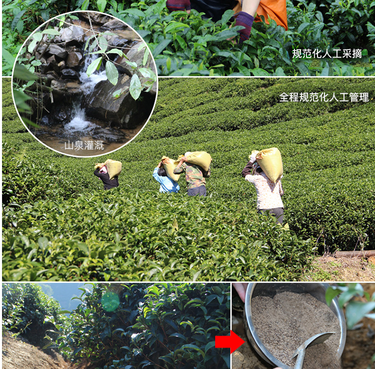 0811无线昭平红398_10.jpg
