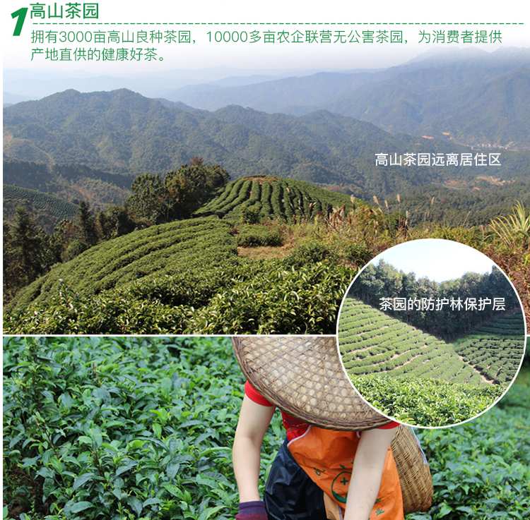 0811无线昭平红398_09.jpg