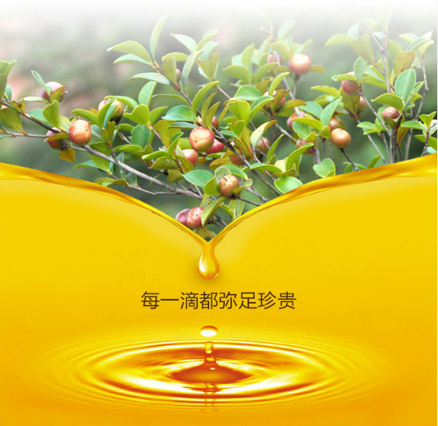 微信图片_20180928152512.png