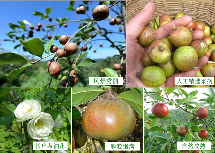 微信图片_20180928152500.png